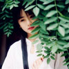 吴君岚