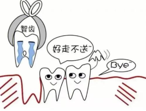 https://www.haodekuai.com/d/file/news/et5fq5hf4pxy.jpg