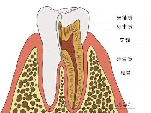 https://www.haodekuai.com/d/file/price/35ildpgqlwdx.jpg