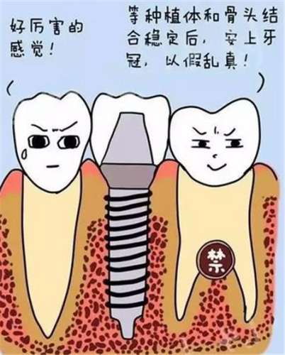https://www.haodekuai.com/d/file/price/wl37iognpp2c.jpg